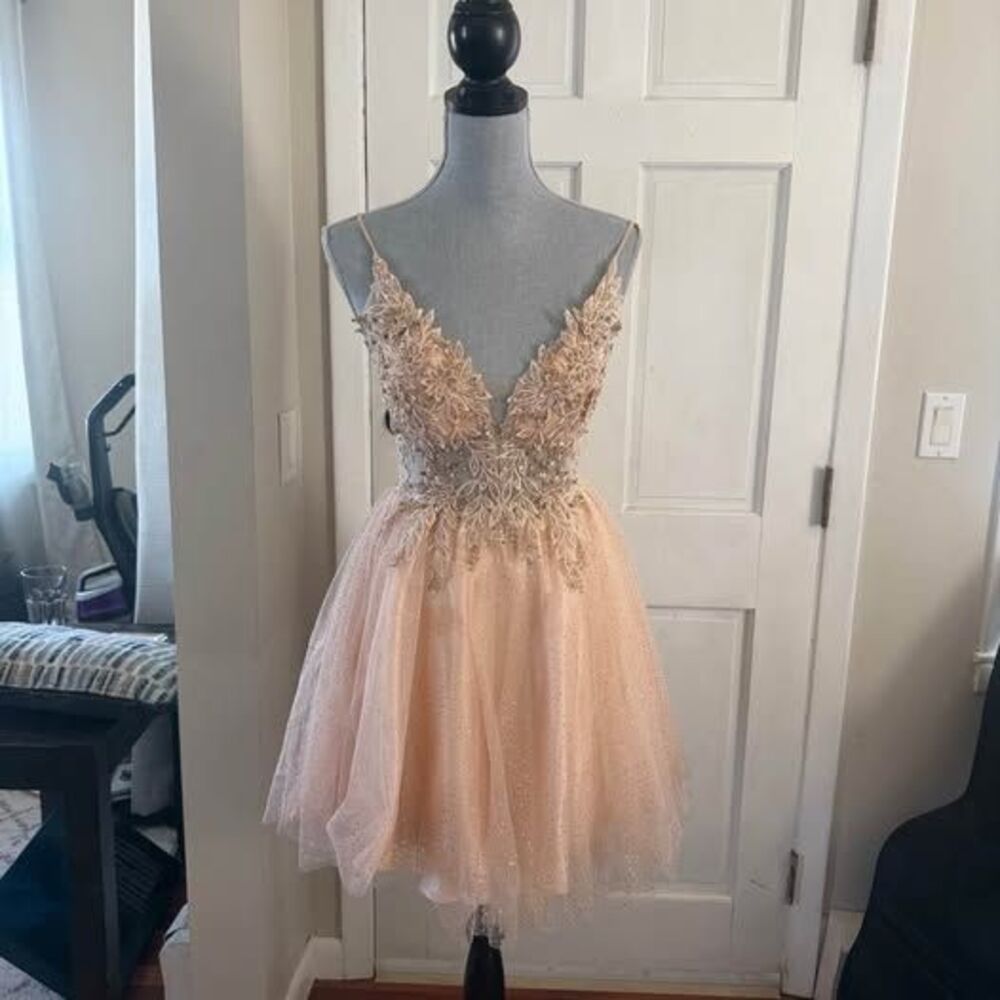 Quincenera dress